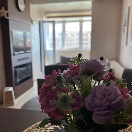 As Centar Apartment Zlatibor